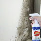 Mycket effektiv spray för att ta bort mögel - Förhindrar återväxt av mögel
