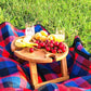 Vikbart picknickbord för utomhusbruk